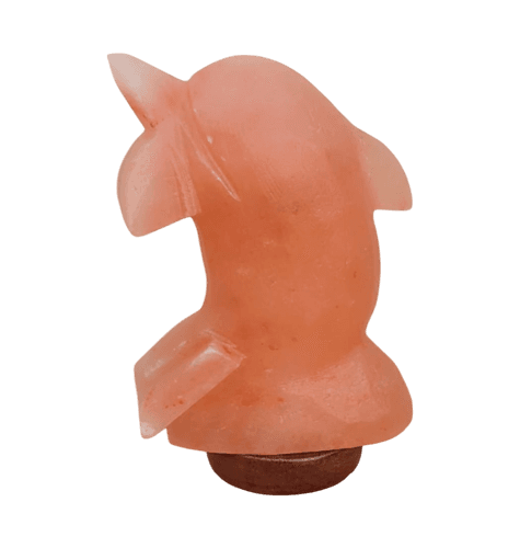 Animal Shaped Salt Lamps
