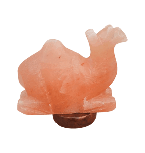 Camel Himalayan Salt Lamp