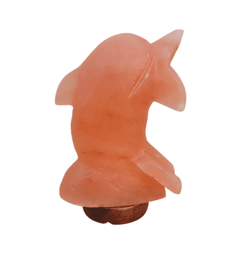 Dolphin Himalayan Salt Lamp