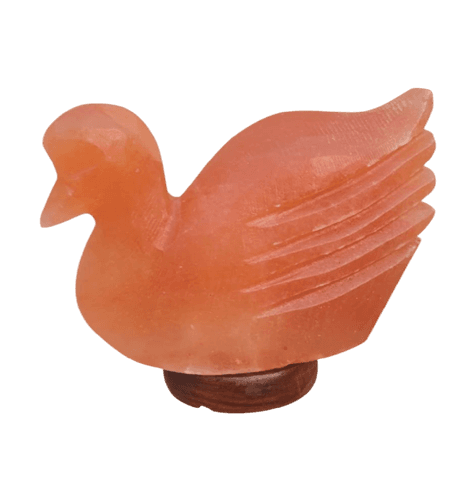 Duck Himalayan Salt Lamp