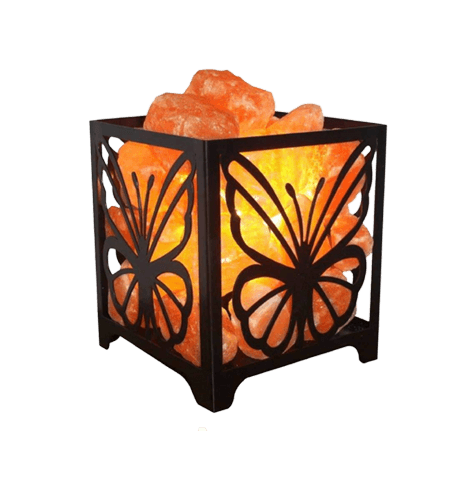 Iron Basket Butterfly With Salt Chunks