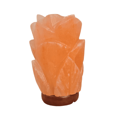 Rose Salt Lamp