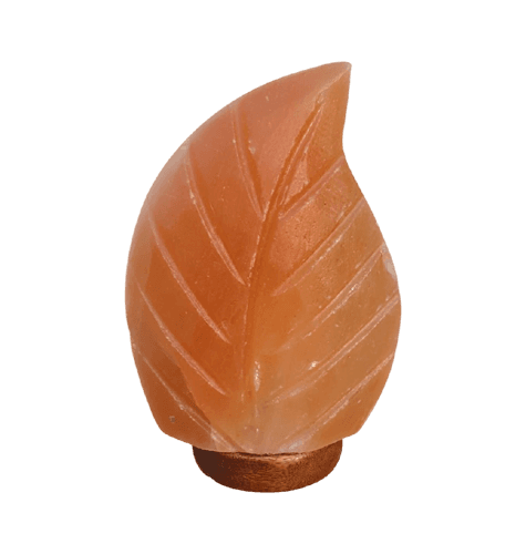 Leaf Salt Lamp